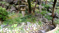 Japanese Garden Todoroki Valley Park Tokyo Japan 19-11L-_3986