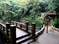 Chigo Daishi Mieido Shrine Todoroki Valley Park Tokyo Japan 19-11P-_0487