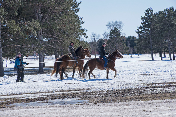 Spurs & Skis Skijoring Stampede 20-3-00077