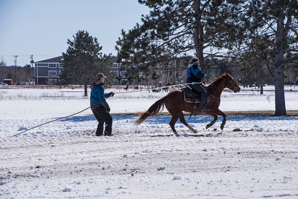 Spurs & Skis Skijoring Stampede 20-3-00011