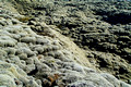 Mossy Lava Rocks Iceland 16-6-_3592