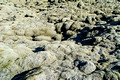 Mossy Lava Rocks Iceland 16-6-_3598