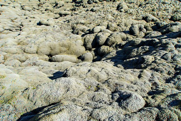 Mossy Lava Rocks Iceland 16-6-_3598