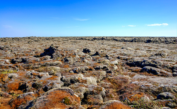 Mossy Lava Rocks Iceland 16-6-_2938