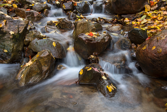 Parfrey's Glen 14-10-_3343