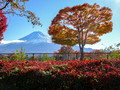 Mount Fuji Fujikawaguchiko Yamanashi Japan 19-11P-_0308