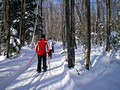 Miljes Ski Trails 12-1-_0682