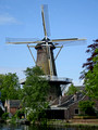 Loenen aan de Vecht Netherlands Canal Boat Tour 19-5-_0014