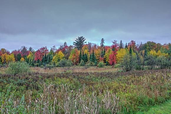 Gogebic County Michigan 19-10-01079