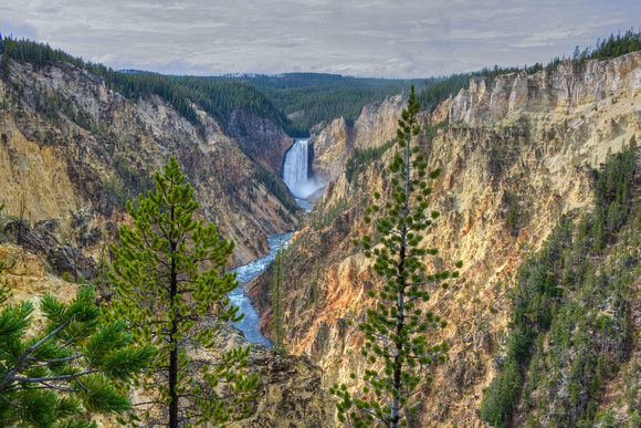 Lower Falls Yellowstone National Park 14-9-_2583