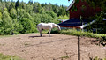 Farm along Forest walk in Nordmarka from Sognsvann lake to Hammeren via Ullevalseter Oslo Norway 18-6L-_1032