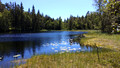 Forest walk in Nordmarka from Sognsvann lake to Hammeren via Ullevalseter Oslo Norway 18-6L-_1054