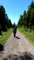 Forest walk in Nordmarka from Sognsvann lake to Hammeren via Ullevalseter Oslo Norway 18-6L-_1055