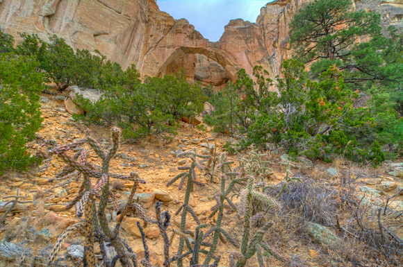 La Ventana Natural Arch El Malpais National Monument 18-4-04235