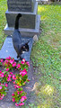 Cemetery of Our Saviour Oslo Norway 18-7L-_5901