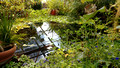 Botanical Gardens Oslo Norway 18-6L-_1142