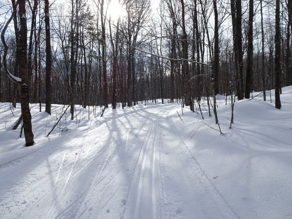 Blue Hills Ski Trails 20-1-_0077