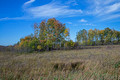 Crex Meadows Wildlife Area 21-11-02595