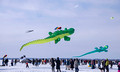 Color the Wind Kite Festival 20-2-02657