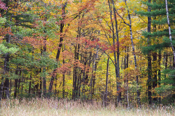 Wisconsin Rustic Road 83 20-10-00547