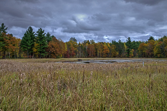 Wisconsin Rustic Road 83 20-10-00517