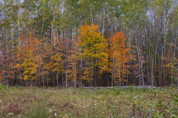 Wisconsin Rustic Road 83 20-10-00553