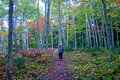 Rainbow Falls Trail Black River 21-9-01243