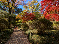 Arisugawa-no-miya Memorial Park, Minato City, Tokyo, Japan 24-12p-_1241