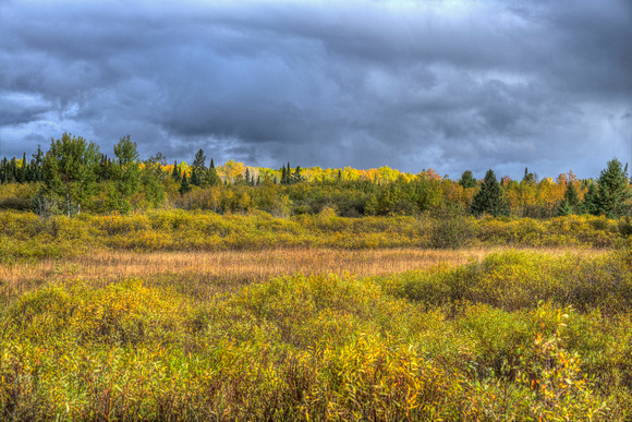 Michigan Fall Colors 14-10-_1939