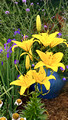 Green Bay Botanical Garden 22-7L-_0683