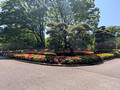 Imperial Palace East National Gardens 25-5P-_1836