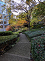 Hotel New Otani Japanese Garden 22-12L-_3175