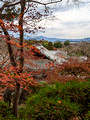 Tenryuji Temple Grounds Kyoto Japan 22-12L-_4522