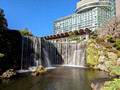 Hotel New Otani Japanese Garden 22-12L-_3181