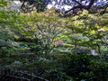 Ikedayama Park, Shinagawa City, Tokyo, Japan 24-12p-_1657