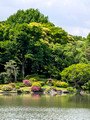 Rikugien Gardens Tokyo, Japan 25-5L-_2831