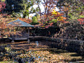 Otaguro Park, Suginami City, Tokyo,, Japan 24-12L-_2514