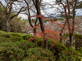 Tenryuji Temple Grounds Kyoto Japan 22-12L-_4525