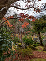 Tenryuji Temple Grounds Kyoto Japan 22-12L-_4533
