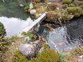 Tenryuji Temple Grounds Kyoto Japan 22-12L-_4538