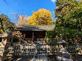 Kamakura Daibutsu Kotokuin Temple Complex Kanagawa, Japan 22-12L-_4185