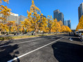 Gyoko-Dori Ave, Chiyoda City, Tokyo, Japan 24-12p-_1023