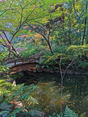 Institute for Nature Study Minato City Tokyo  22-12L-_4293