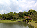 Rikugien Gardens Tokyo, Japan 25-5L-_2834