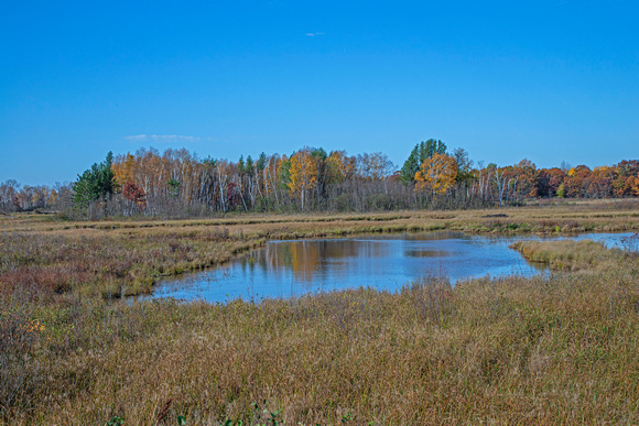 Crex Meadows Wildlife Area 21-11-02599