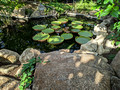 Jindai Botanical Gardens Tokyo, Japan 22-12L-_3323