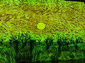 Immersive Van Gogh Exhibition, Kadokawa Cultural Museum, Tokorozawa, Japan 22-12L-_3563