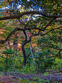 Institute for Nature Study Minato City Tokyo  22-12L-_4301
