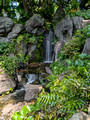 Imperial Palace East National Gardens 25-5P-_1832