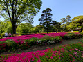 Imperial Palace East National Gardens 25-5L-_3479